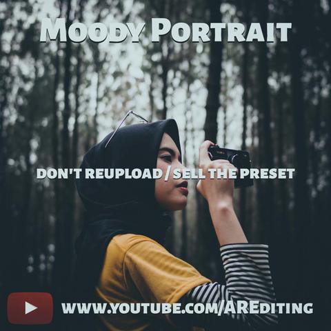 Moody portrait Free Lightroom Preset