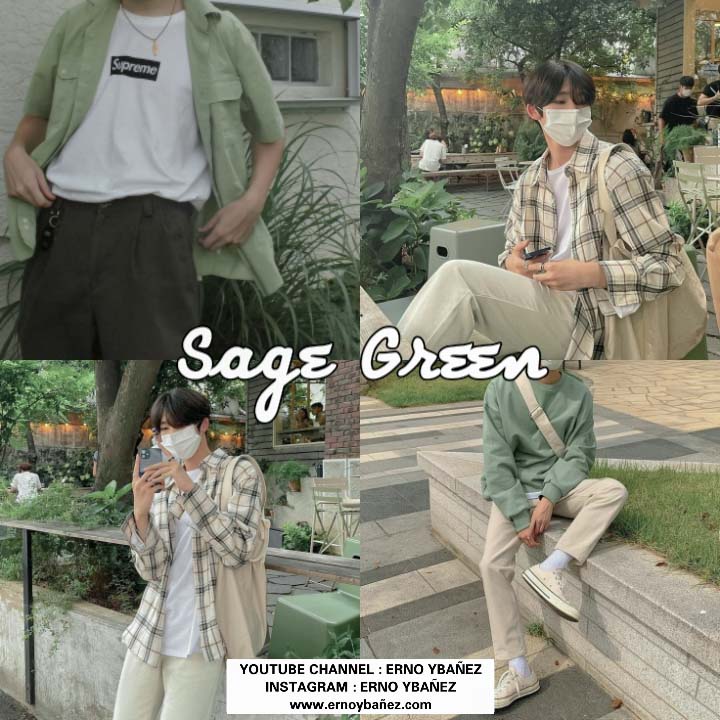 Sage Green Preset- Lightroom Preset