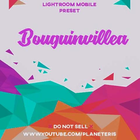Bouguinvillea preset Free Lightroom Preset