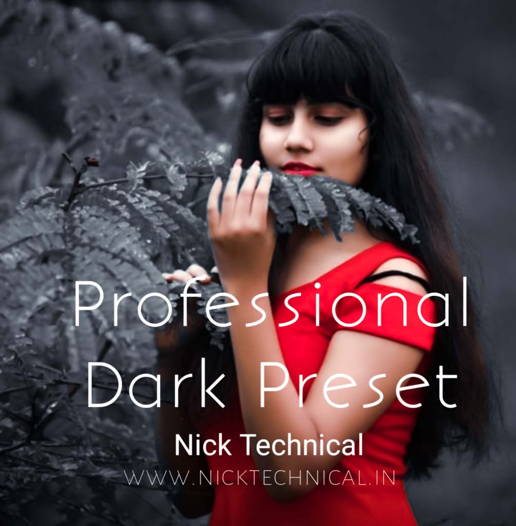 Professional Dark Preset Free Lightroom Preset