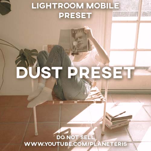 Dust Preset- Lightroom Preset