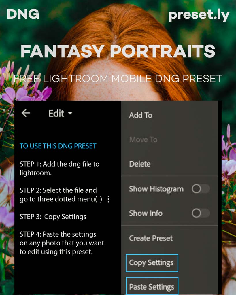 Fantasy Portraits Lightroom Preset