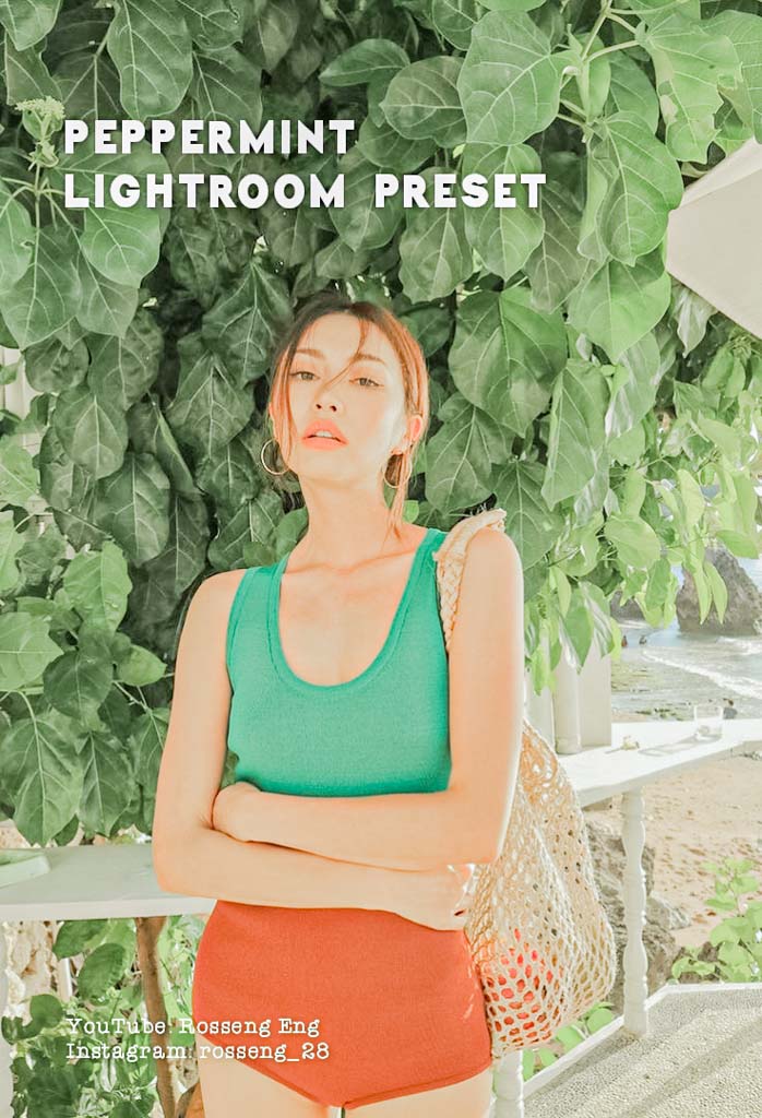 Peppermint Lightroom Preset Lightroom Preset