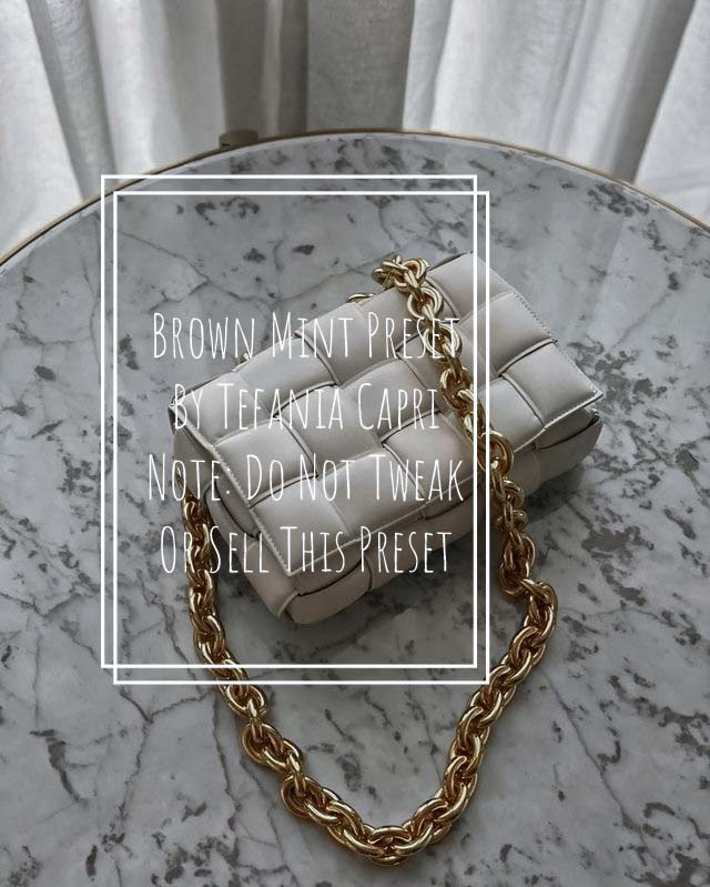 Brown Mint Preset- Lightroom Preset