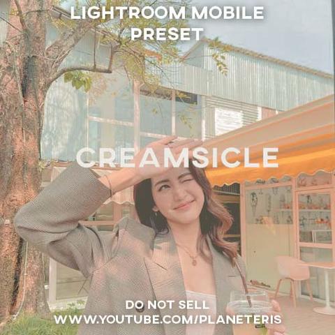 Creamsicle Preset Free Lightroom Preset
