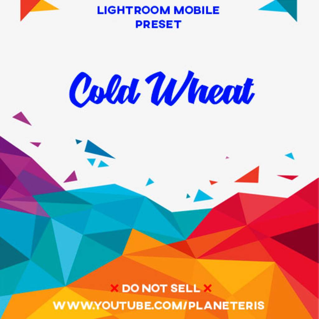 Cold Wheat Preset- Lightroom Preset