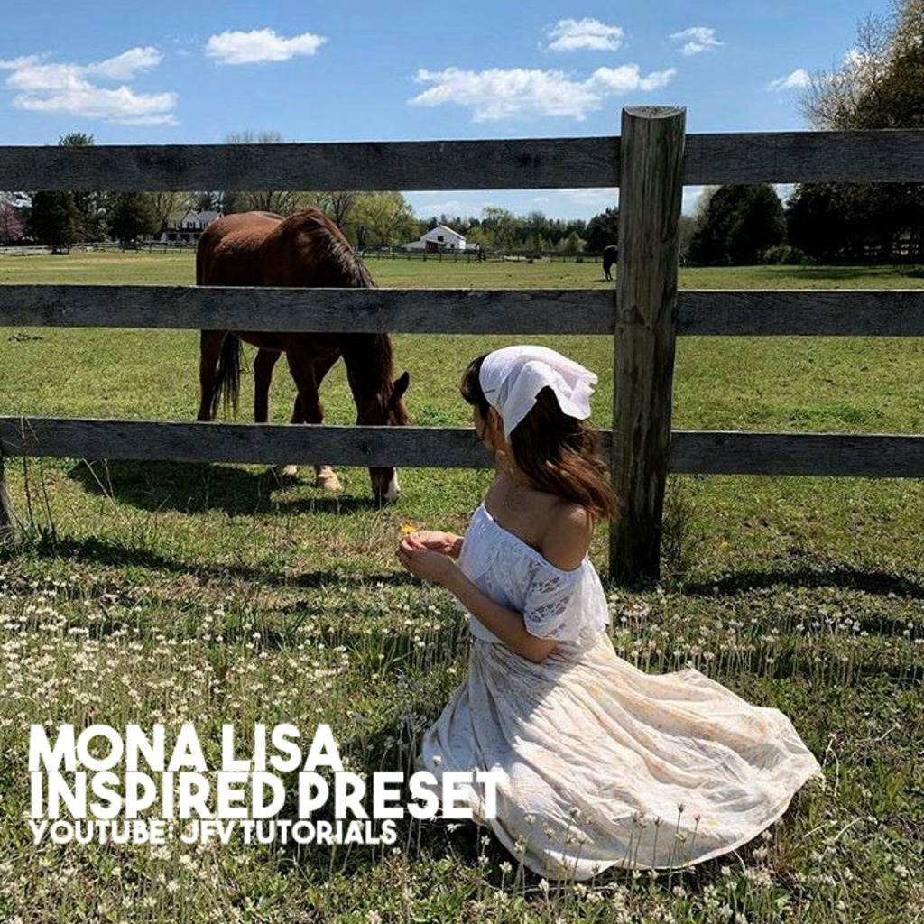 MONA LISA (JFV TUTORIALS)- Lightroom Preset