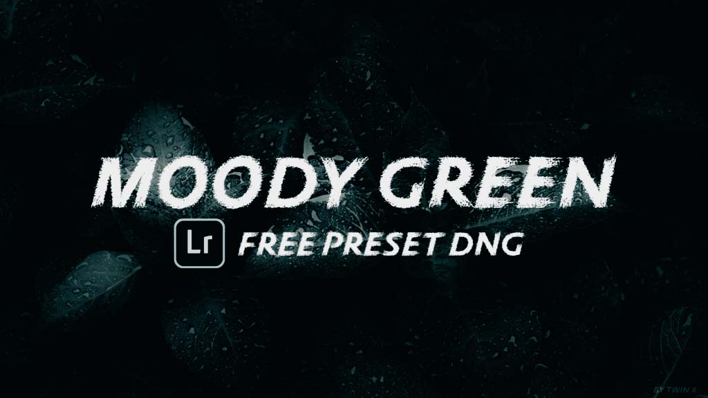 Moody Green Preset- Lightroom Preset