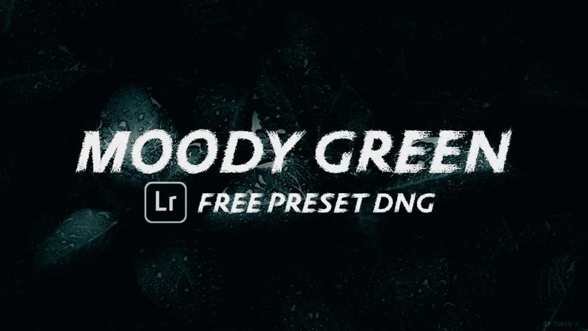 Moody Green Preset Free Lightroom Preset