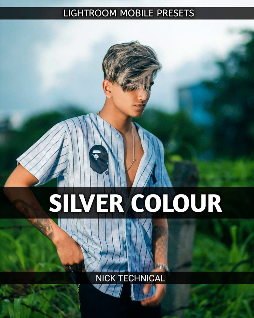 Silver Colour Preset- Lightroom Preset