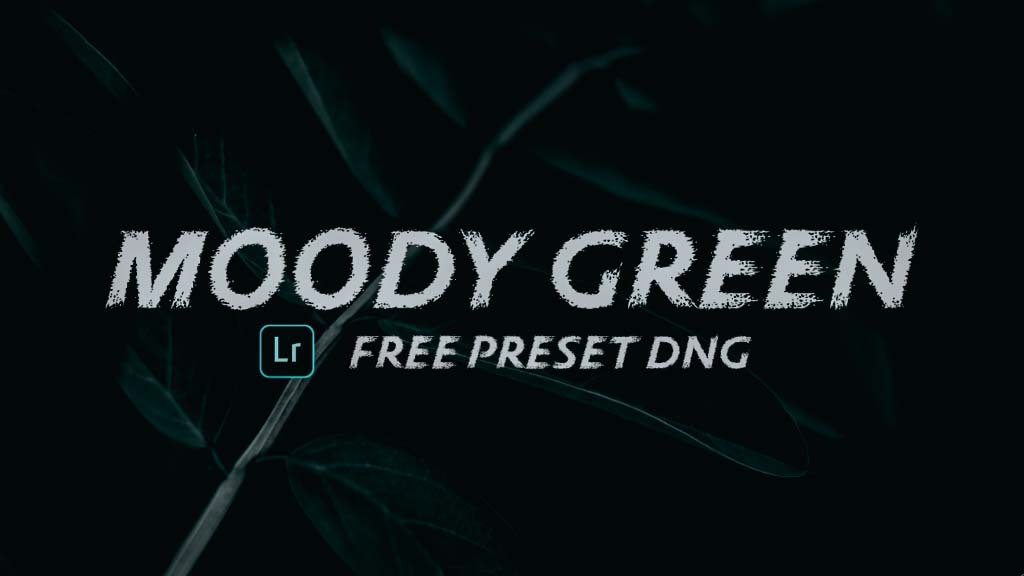 MOODY Green 2 Free Lightroom Preset