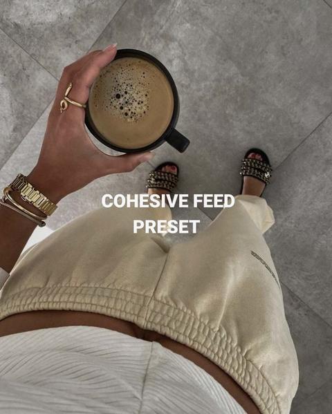 Cohesive Instagram Feed preset Free Lightroom Preset