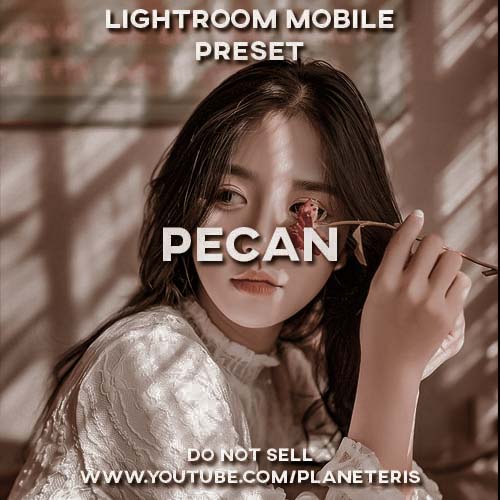 Pecan Preset Lightroom Preset