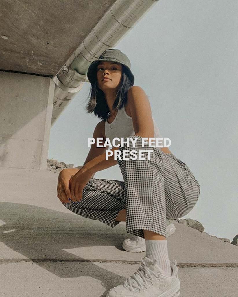 Peachy Feed preset- Lightroom Preset