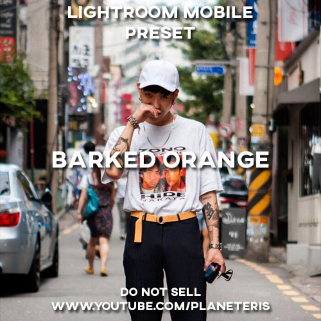 Barked Orange Preset- Lightroom Preset