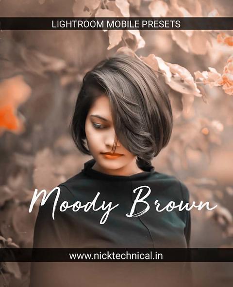 Moody Brown Preset Free Lightroom Preset