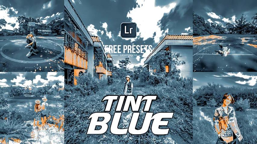 Tint Blue Preset Free Lightroom Preset