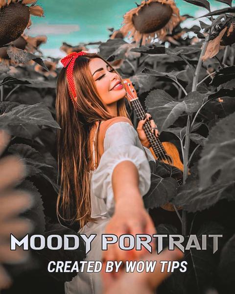 Moody Portrait Free Lightroom Preset